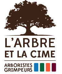 L'Arbre et la Cime